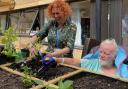 Therapy gardening at Homerton Hospital