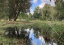 Lea Valley wetlands restored