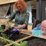 Therapy gardening at Homerton Hospital