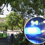 A man shot dead in a park has been named by police