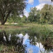 Lea Valley wetlands restored