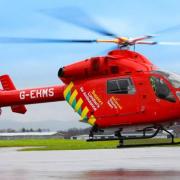 Roman Road Bow: Air ambulance sent as man and dog stabbed